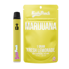 Fresh Lemonade | Disposable