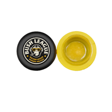 BUSH LEAGUE | JEALOUSY | HYBRID | LIVE RESIN | 5G | REC