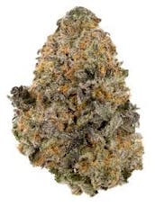 STIIIZY | Runtz POPCORN 28g