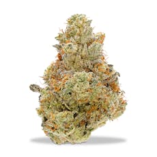 Focus North - Freezer Jam