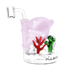 Dab Rig | 4" Conch Mini Reef | AFG