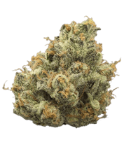 MPX Select Fantazma Flower