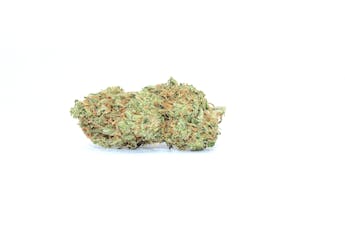Tahiti Twist