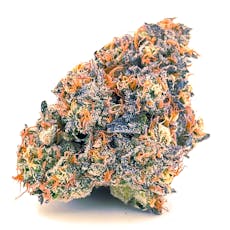Ayo: Flower | Blue Lobster | 3.5g