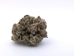 Rick James - Echo Electuary (IH)