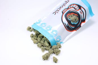Peach Crescendo (I-Hybrid) - 28g