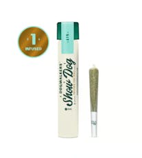 Infused Brownie Scout Pre-Roll 1g