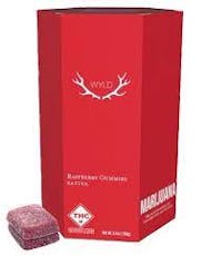 Wyld | Gummies | Raspberry 1000mg