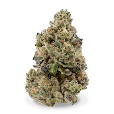 Archive - Moonbow 99 X Rainbow Belts 2.0