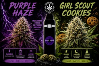2.0G Dual Chamber Disposable Major Bloom Purple Haze x GSC