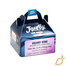 1g Honey Burst Live Rosin Jaunty