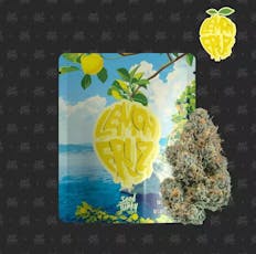 Seed Junky | Lemon Fruz - 3.5g Flower
