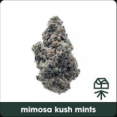 Grassroots - Mimosa Kush Mints (H) - 27.33% - Flower - 7g