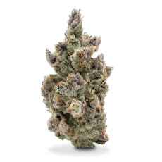 Focus North - Off World #3