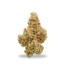 Deep Creek Gardens - Neon Scepter