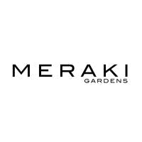 Meraki - Blue Razz (S) - 1g Preroll