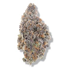 The Deli - Larry Belts