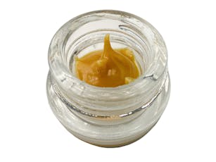 LIVE BUDDER: Honey Haze