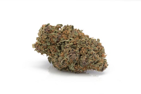Guru
