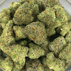 Silver Shelf - Guava Melt (H)