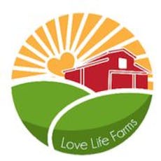 Lovelife Farms - Pure Michigan (I)**LESS THAN 2OG LIMITED QUANITY**