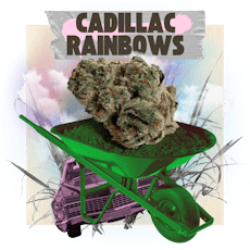 3.5g | Cadillac Rainbows