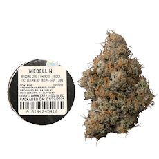 Medellin | 1oz Jar | Satori