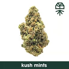 Grassroots Flower 7g- Kush Mints