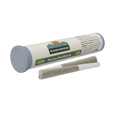 SunMed - Banana Puddintain PR - 0.5g 2pk