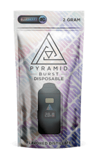 Pyramid | Blueberry (I-H) Burst Disposable | 2g