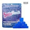 Kushy Punch Fast-Acting Gummies Blueberry