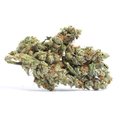 Blueberry Cookies
