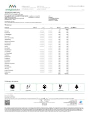 White Hot Guava Pre-Roll 1g (01203)