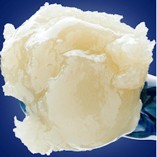 Grape Sherb | Cold Cure Live Rosin 3.5g