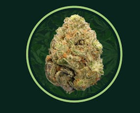 Atomic Breath | Flower