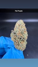 Fat Purple Pie - Flower - Hybrid