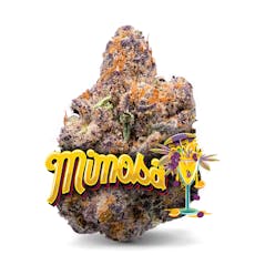 Mimosa - 1/8 oz Premium Flower