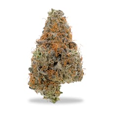 Lofty - Lemon Lime Pie