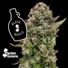 Garden Greens Flower 14g- Black Maple