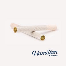 Hamilton Farms | Grape Rock Candy | 1g Pre-Roll