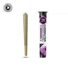 Pre-roll 2pk | Shirley Temple | 1g