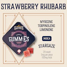 ELEVATE - GUMM-ES - GUMMIES - 100MG - 20PK - STRAWBERRY RHUBARB - INDICA