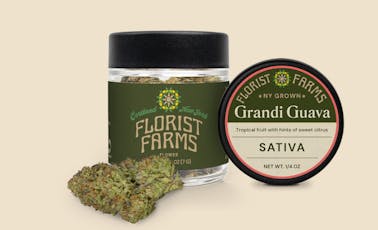 FLORIST FARMS | GRANDI GUAVA | FLOWER | 7g