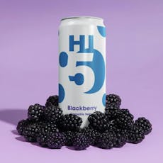 Seltzer - Hi5 Blackberry 4pk