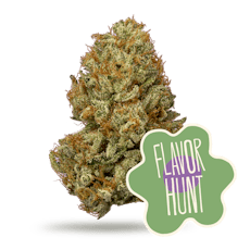 Notorious Runtz Premium Flower