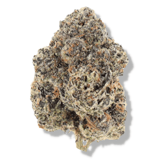 The Deli - Lemon Cherry Gelato