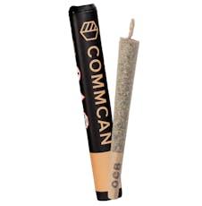 Apples & Bananas - 1g - Pre-Roll