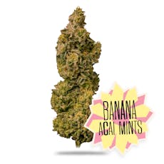 Banana Acai Mints