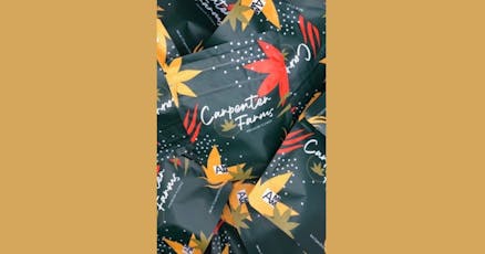 Carpenter Farms: Flower | Head Dog | 7g