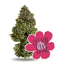 District Cannabis: Gelato Cake | 7g